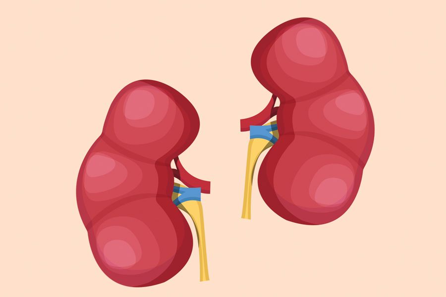 What causes bad kidney function?