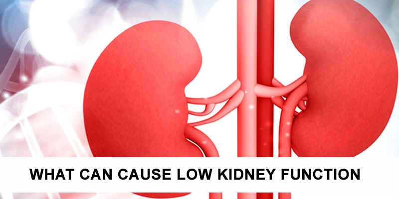 What can cause low kidney function