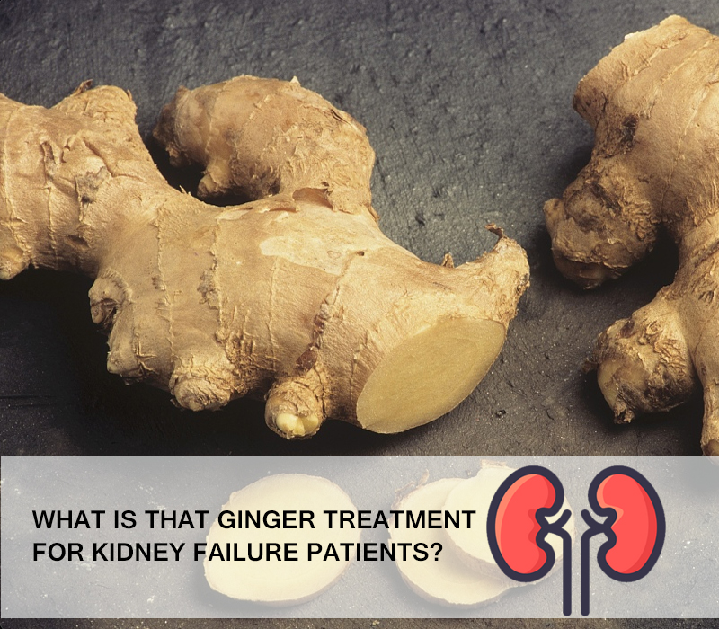 Ginger Good For Kidney Failure Patients Kidney Treatment