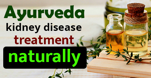 ayurveda kidney disease treatment naturally