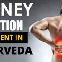 kidney infection treatment in ayurveda