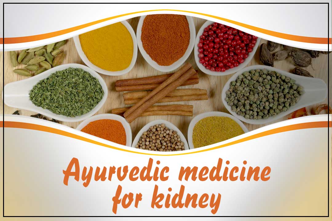 Ayurvedic Medicine For Creatinine Treatment