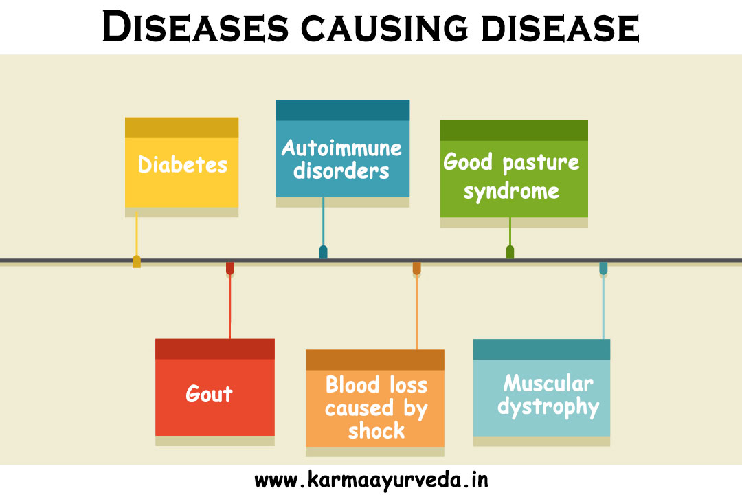 Ayurvedic Medicine for Creatinine