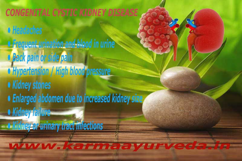 Congenital cystic kidney disease