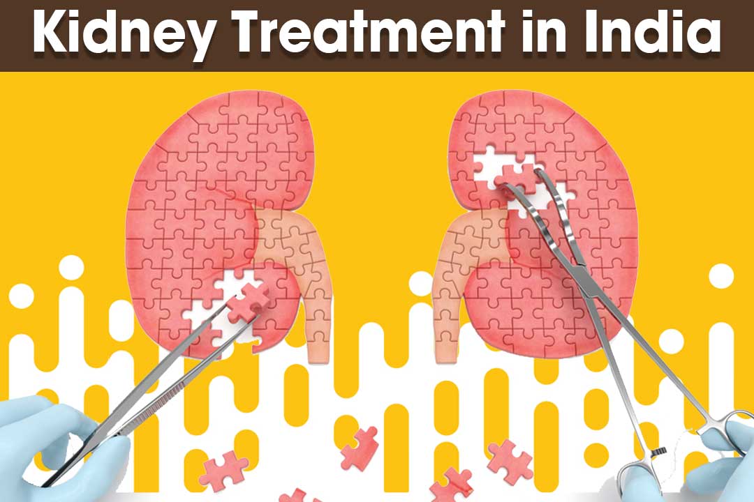 Kidney Treatment in India