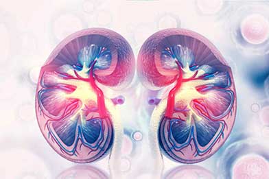 polycystic kidney disease (PKD) Karma Ayurveda