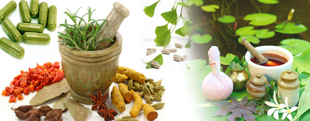 Kidney Failure Treatment In Bangalore