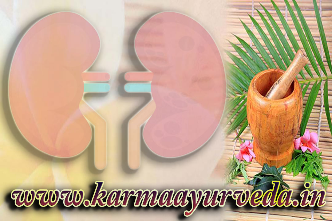Kidney Failure Treatment Dindigul