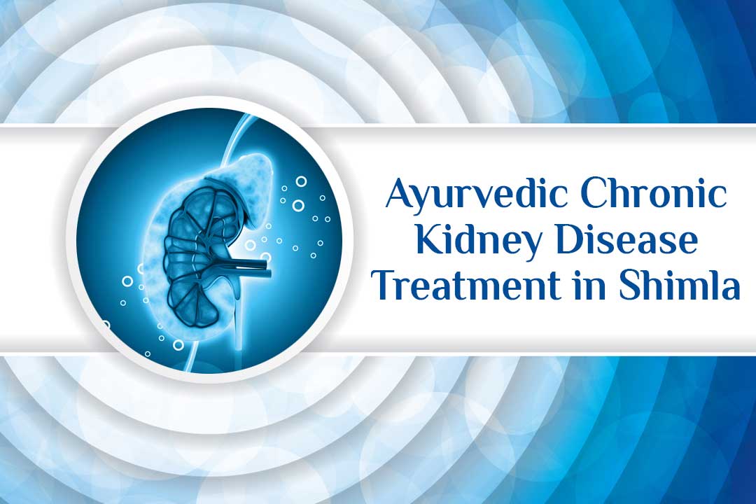 ayurvedic chronic kidney disease treatment in Shimla