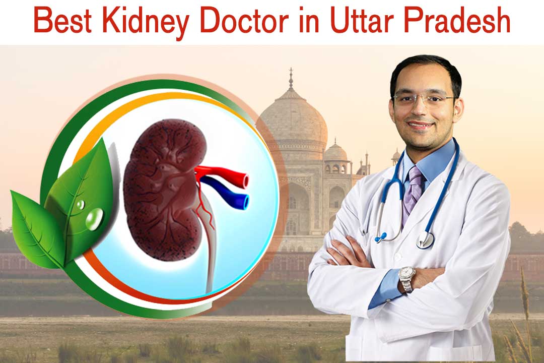 Best Ayurvedic Kidney Doctor in Uttar Pradesh- Kidney Specialist in