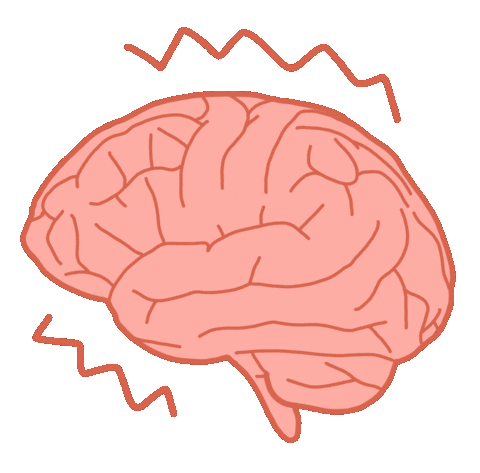 Brain