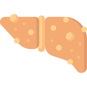 kidney