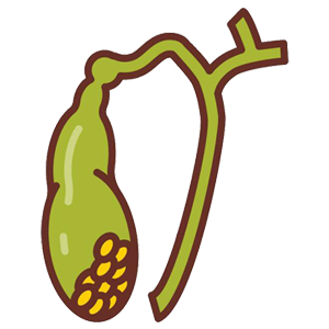 kidney