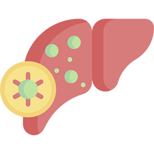 kidney