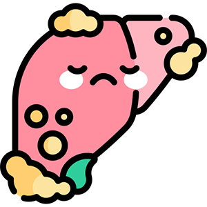 kidney