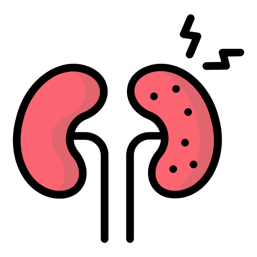 kidney